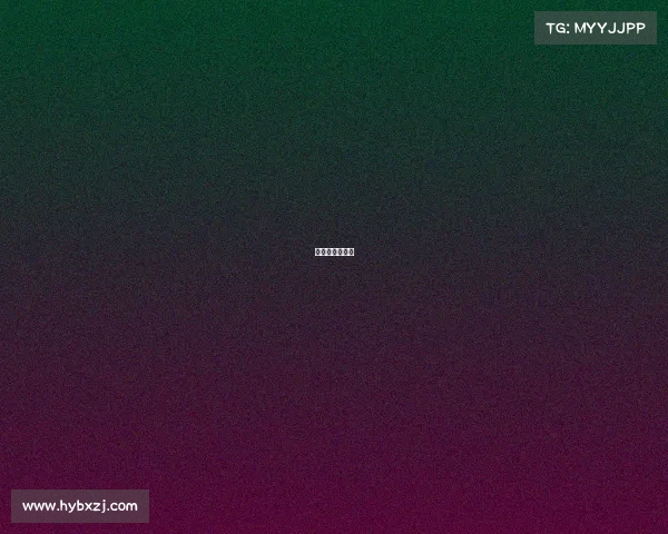 少年组拳击比赛